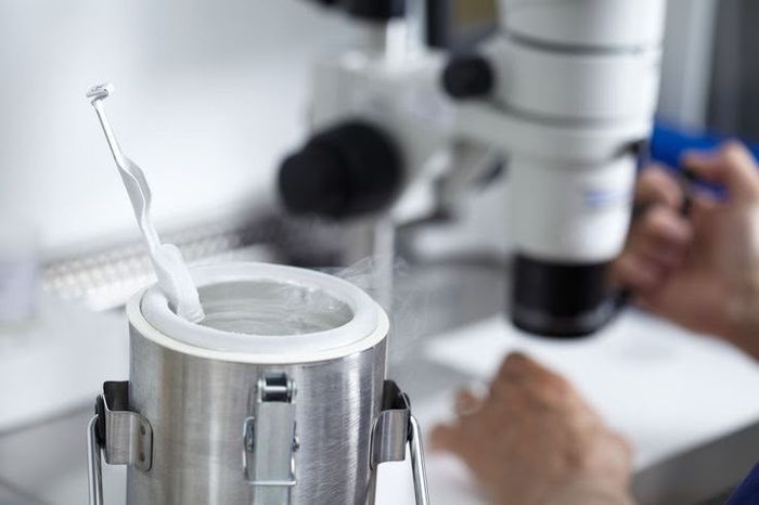 Embryology laboratory in Lagos: specimen straws retrieved from liquid nitrogen
