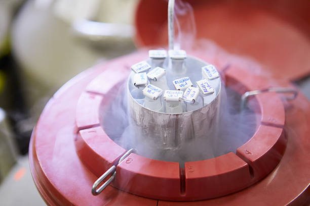 Labelled specimen canisters inside a liquid nitrogen storage dewar
